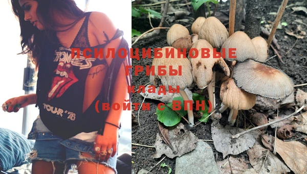 гашик Армянск