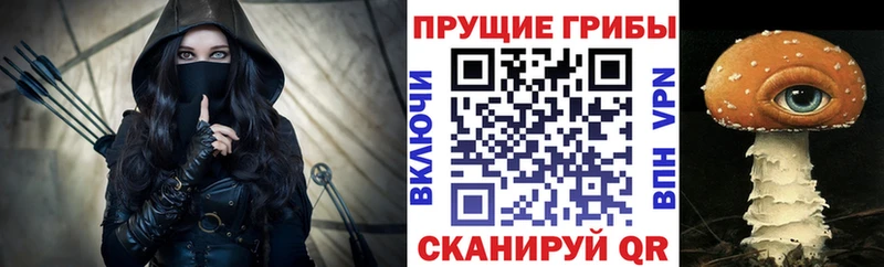 дарк нет официальный сайт  Озёрск  Галлюциногенные грибы мицелий  закладка 